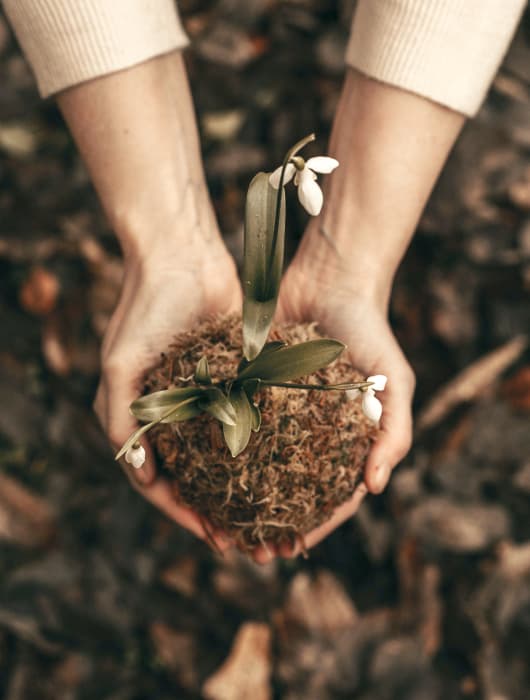 Embolden Wellbeing